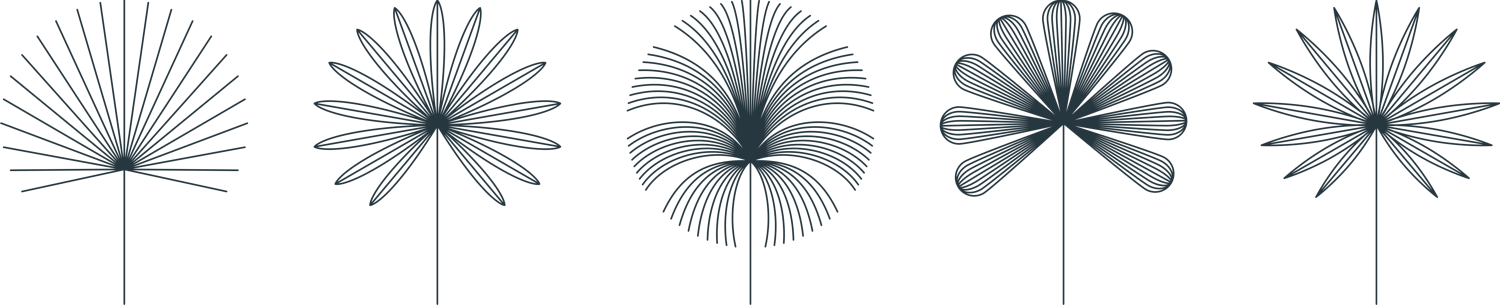 Mareeba house and land packages